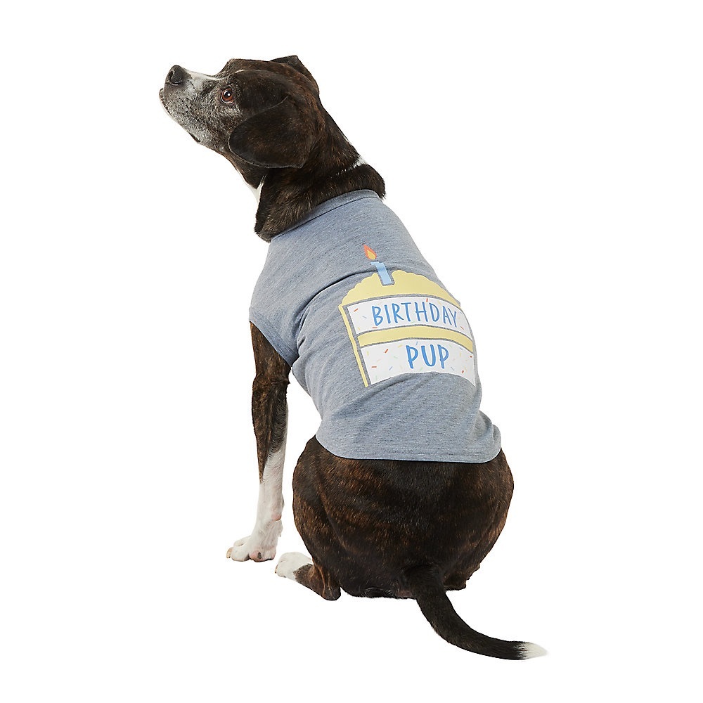 NWT Top Paw® Birthday Pup Dog Tee sz XS *3/$13* - Picture 2 of 6